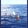 DSCF0438.jpg