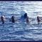 DSCF0447.jpg