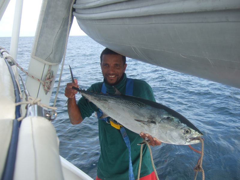 Leo's tuna