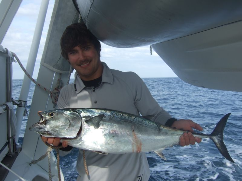Pete's tuna