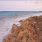 canon-eos-5d-mark-ii-img_5554
