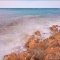 canon-eos-5d-mark-ii-img_5558