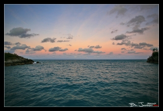 IMG_3323.jpg