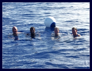DSCF0447.jpg
