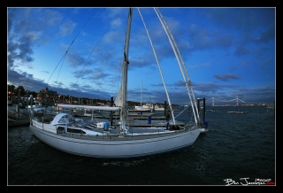 IMG_3243.jpg