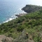 the-rugged-coast-with-turks-head-cactus
