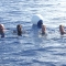 Jake, Leo, Marnie & Kim swimming in 19,000' of water