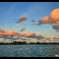 IMG_3299.jpg